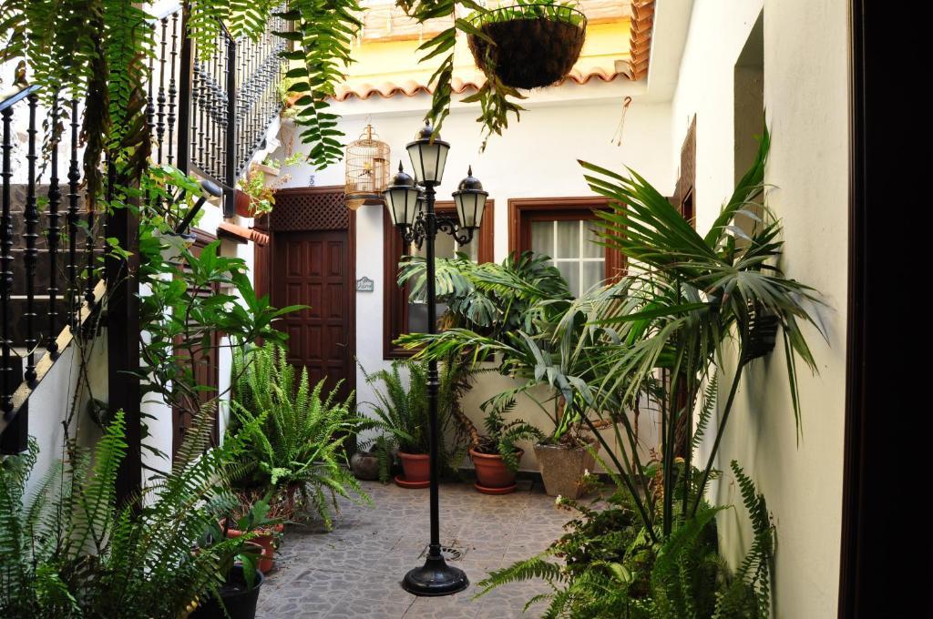 Hotel Rural Villa De Hermigua Extérieur photo